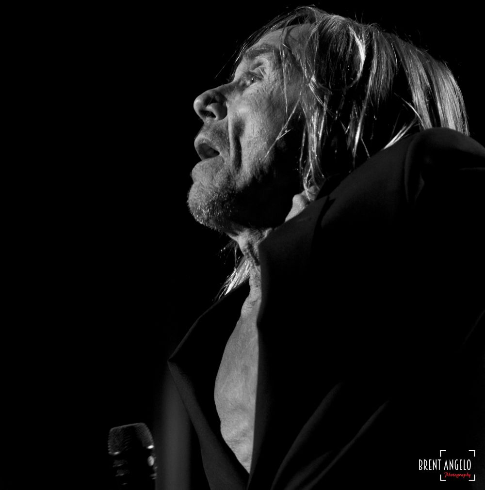 iggy pop post pop depression live at the royal albert hall vinyl
