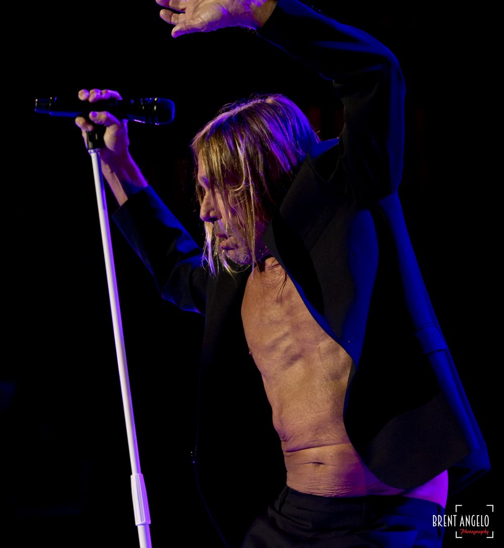 iggy pop post pop depression live at the royal albert hall vinyl