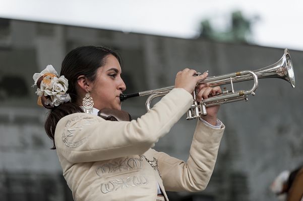 Mariachi Mestizo