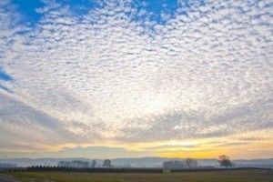 View from Pennie Lane Farm on Sauvie Island. Photo by Dave Lutz.