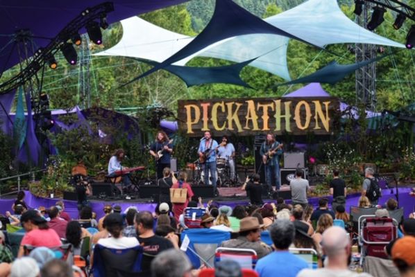 Pickathon 2019. OMN Photo by Carmen Kintz